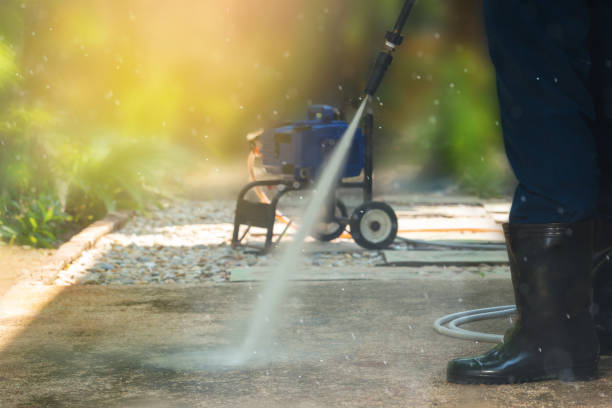 Best Animal Enclosure Cleaning  in Davis, CA
